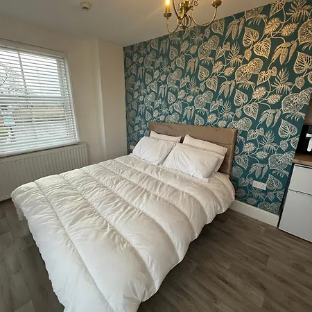 The Olivia Swan * Deighton