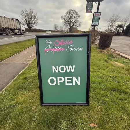 The Olivia Swan * Deighton