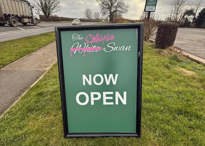 The Olivia Swan * Deighton